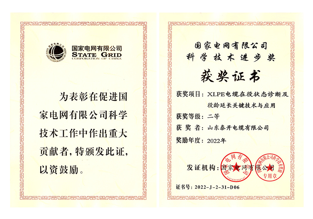 國家電網(wǎng)科技進(jìn)步獎（XLPE電纜在役狀態(tài)診斷及役齡延長關(guān)鍵技術(shù)與應(yīng)用）