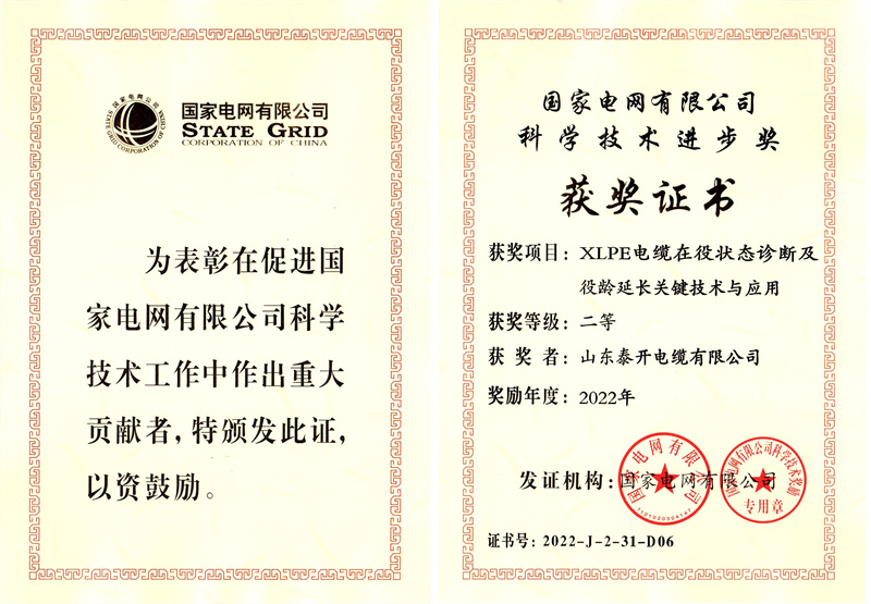科學(xué)技術(shù)進步二等獎（XLPE電纜在役狀態(tài)診斷及役齡延長關(guān)鍵技術(shù)與應(yīng)用）
